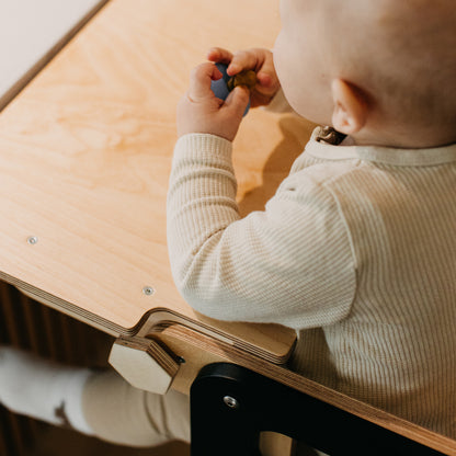 3 in 1 Learning Tower & High Chair