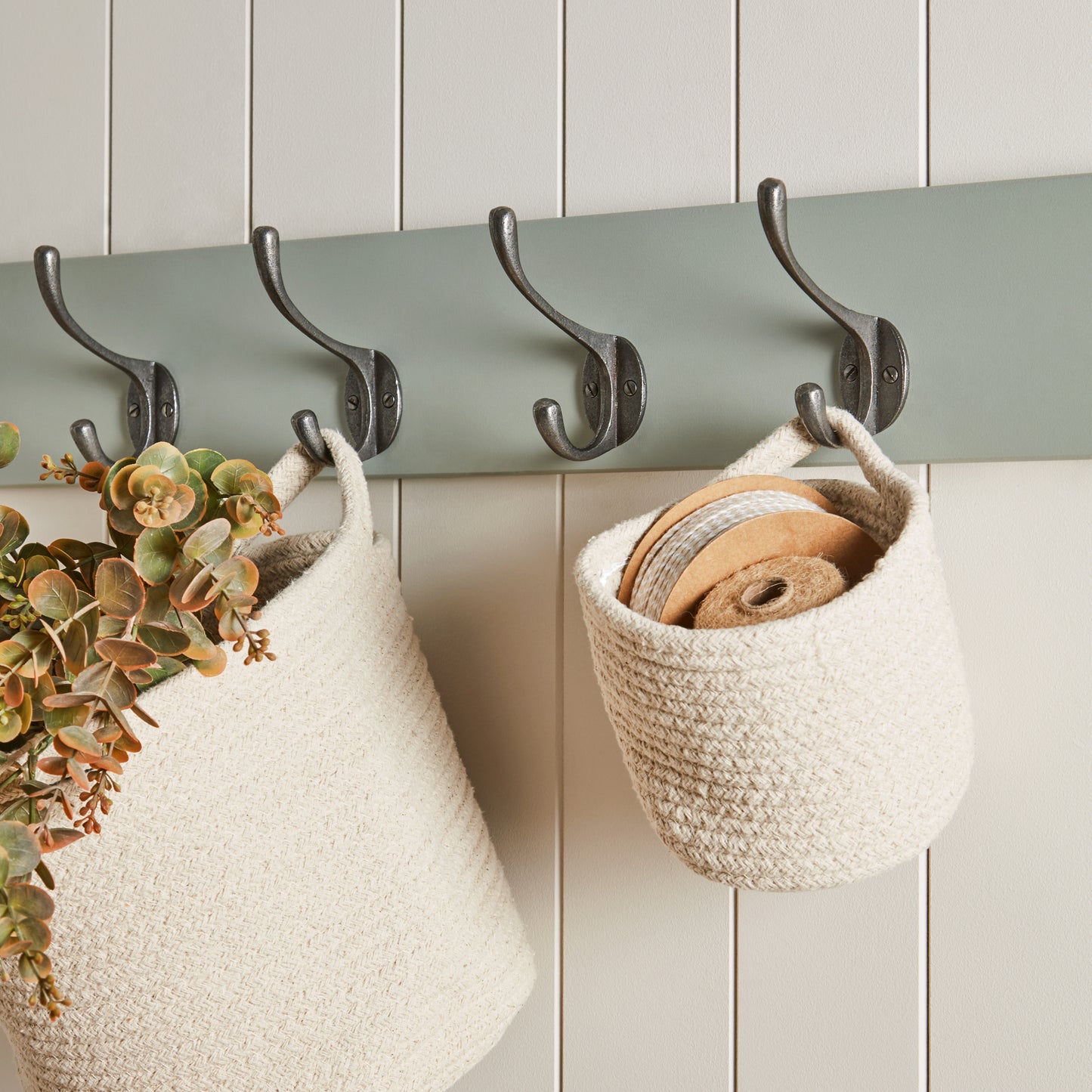 Painted Hook or Peg Rail