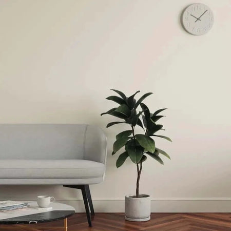 Lick White 05 Eierschale