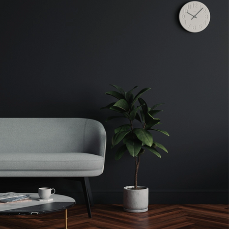 Lick Black 02 Eierschale