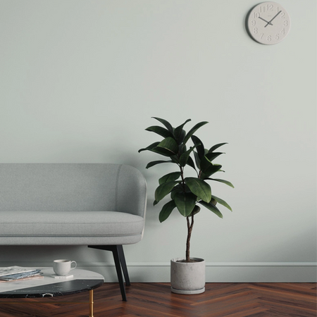 Lick Blue 01 Eierschale