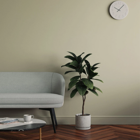 Lick Green 01 Eierschale