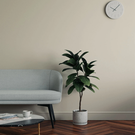 Lick Greige 02 Eierschale