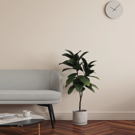 Lick Pink 01 Eierschale