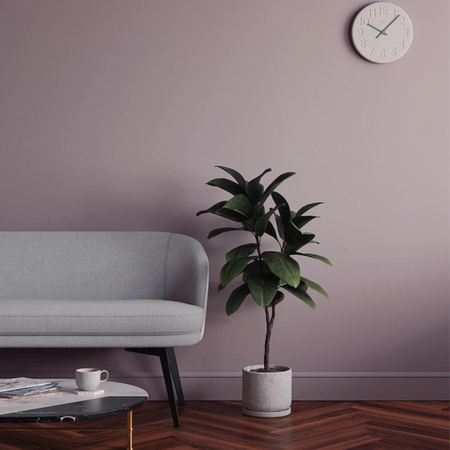 Lick Purple 01 Eierschale