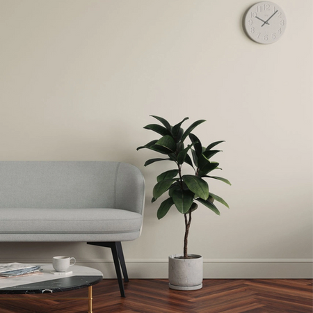 Lick White 04 Eierschale