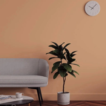 Lick Orange 03 Eierschale