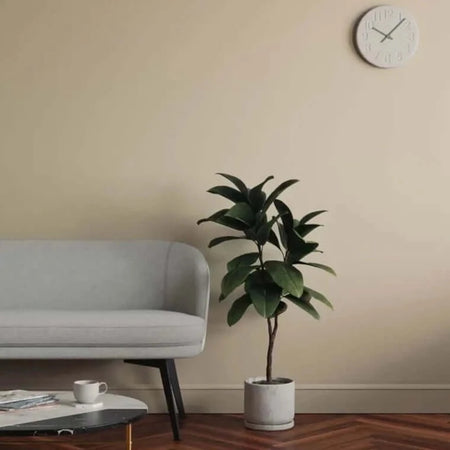 Lick Greige 01 Eierschale