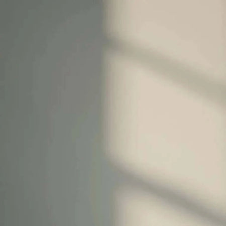 Lick Grey 04 Eierschale